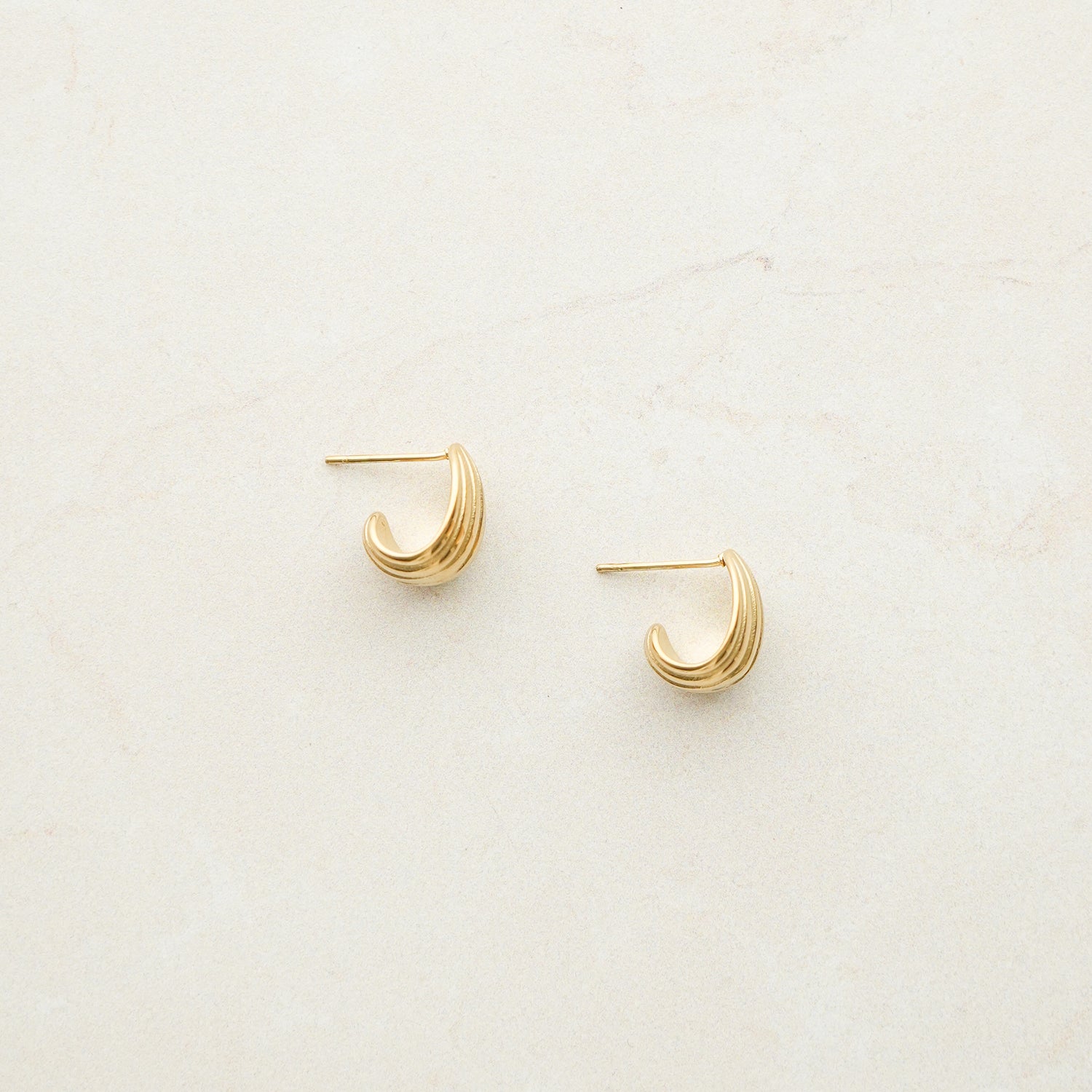 Stella Shell Earrings