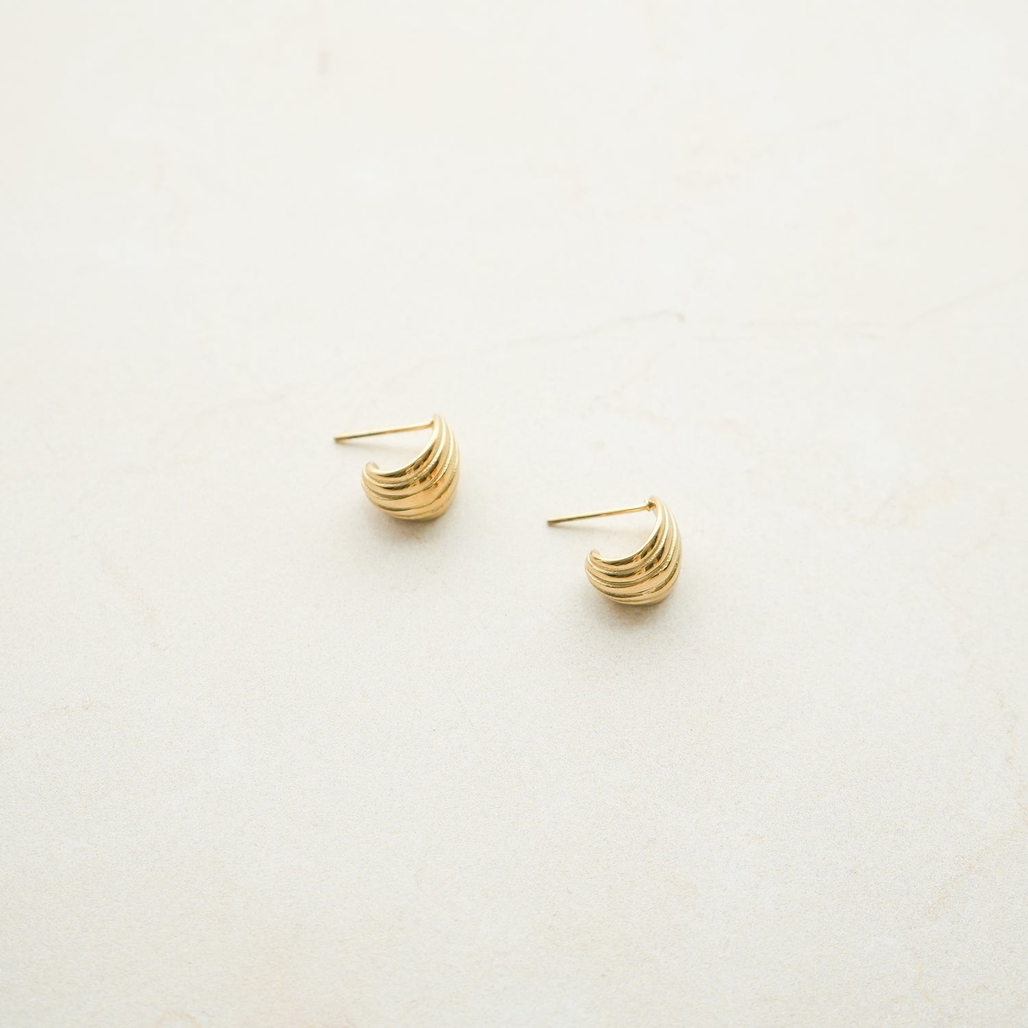 Stella Shell Earrings