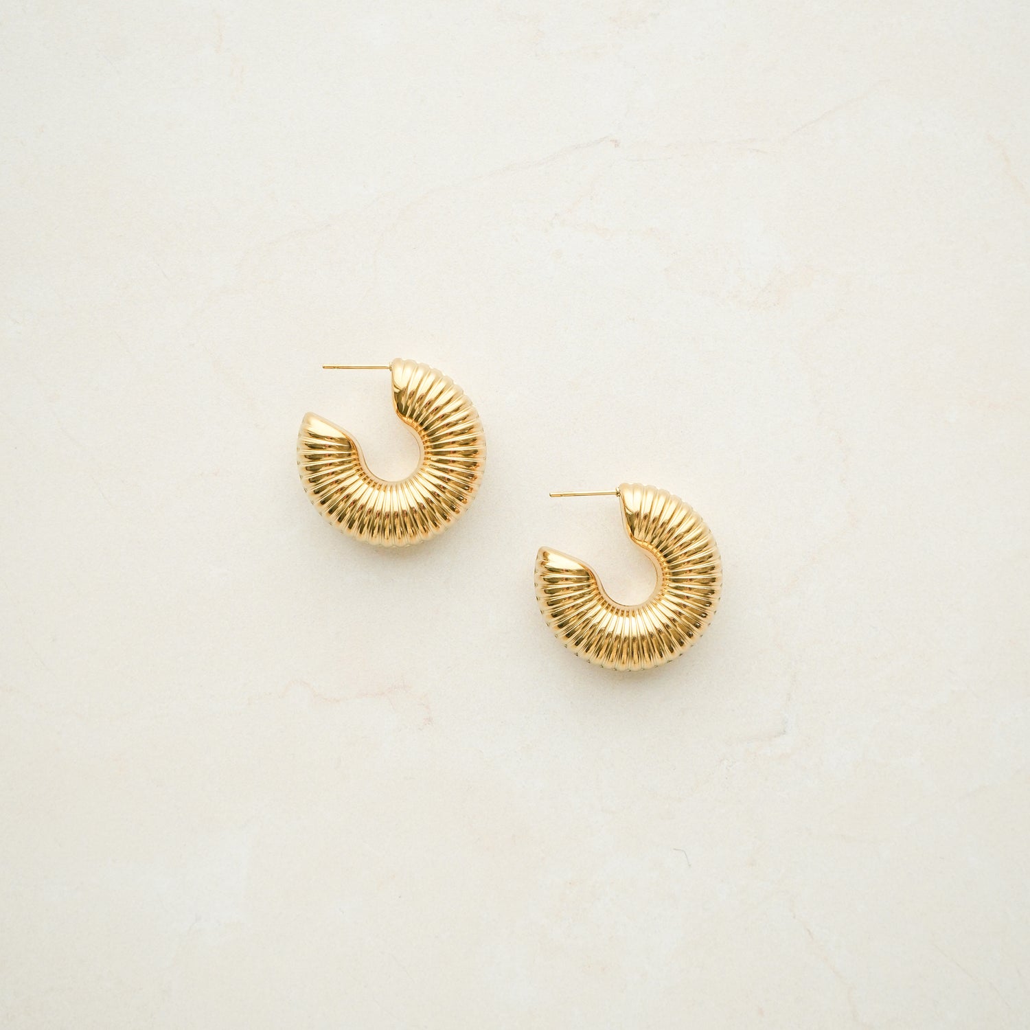 Studio Earrings