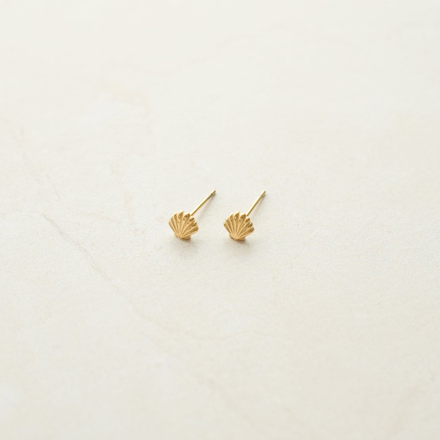 Seashell Studs