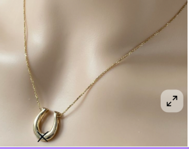 Horseshoe Necklace