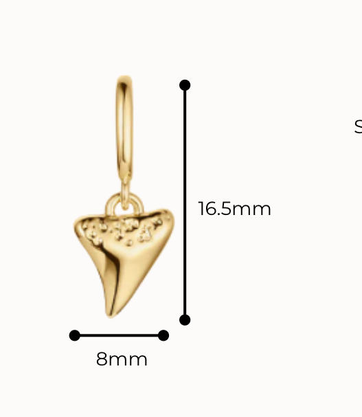 Shark Tooth Charm