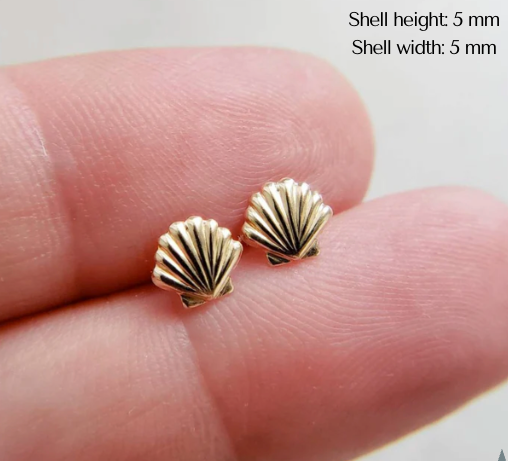Seashell Studs